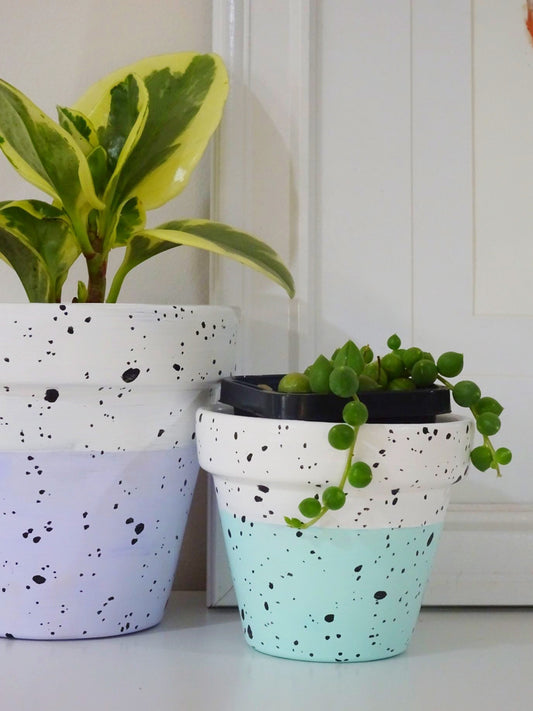 Speckled Pots!