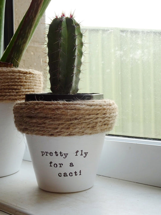 Pretty Fly for a Cacti