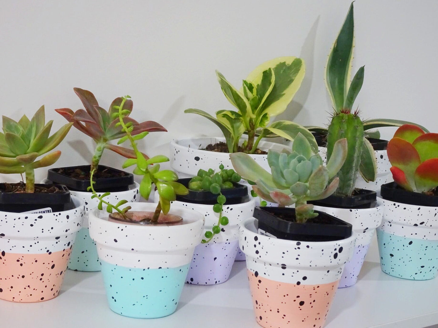 Speckled Pots!