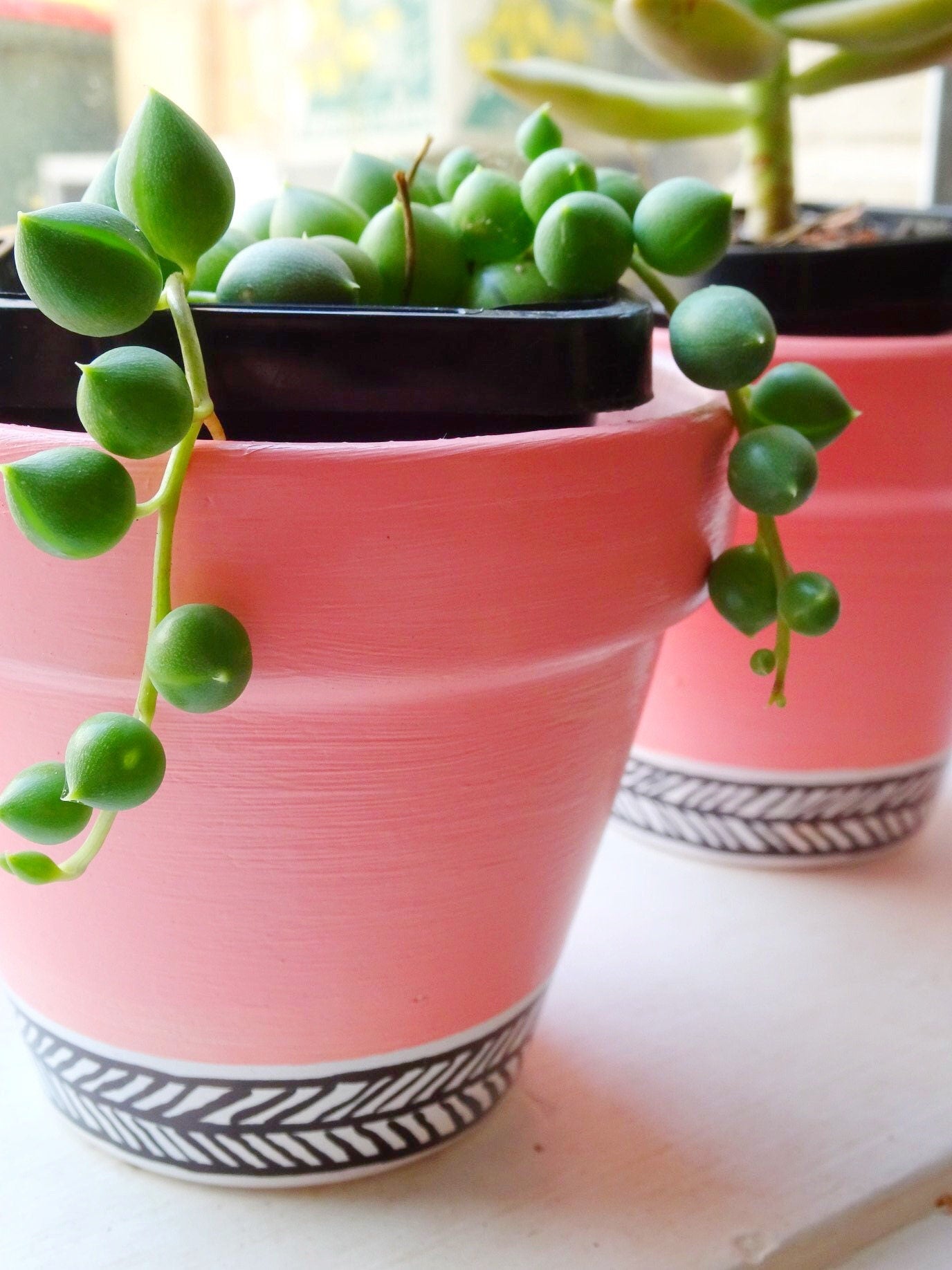 Cute Pink Pots!