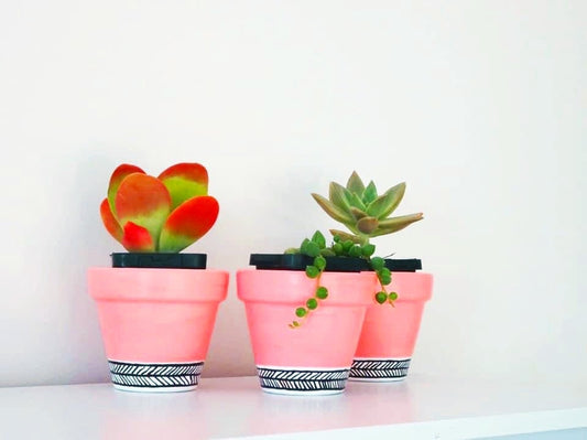 Cute Pink Pots!