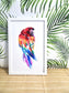 Watercolour Rainbow Parrot