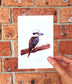 Watercolour Kookaburra